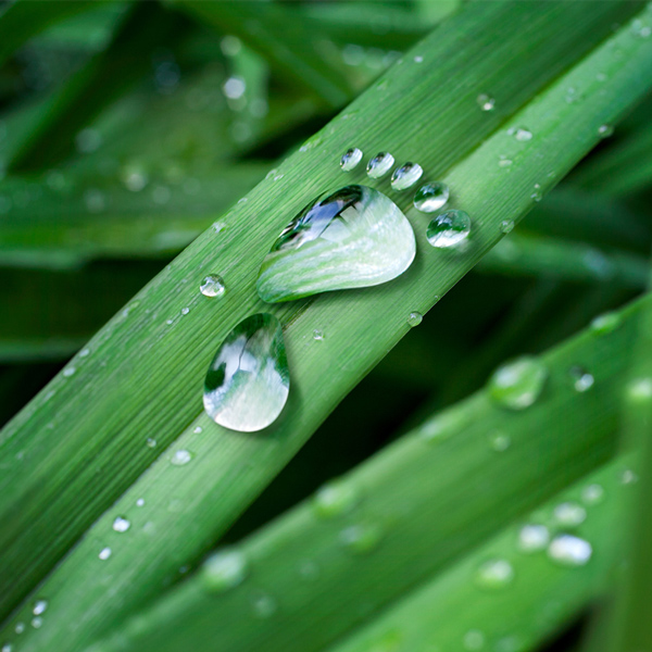 avia-marketing-sostenibilidad